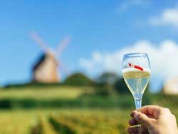 Copa de champagne junto a la Bodega de Mumm
