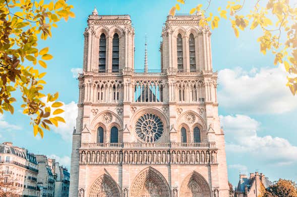 Tour por la isla de la Cité y el exterior de la catedral de Notre Dame + Entrada a la cripta